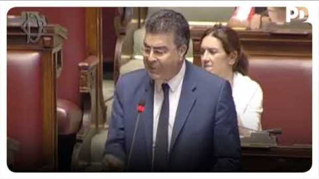 Video Emanuele Fiano: dove sono finiti i soldi della Lega? Il Governo venga in aula a riferire su italiano