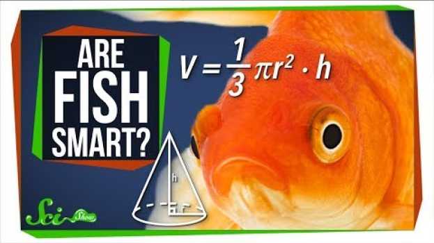 Video Fish Are Way Smarter Than You Think em Portuguese