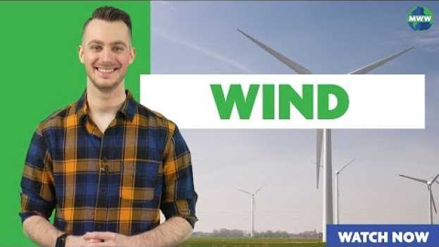 Video Which Way Does the Wind Blow? in English