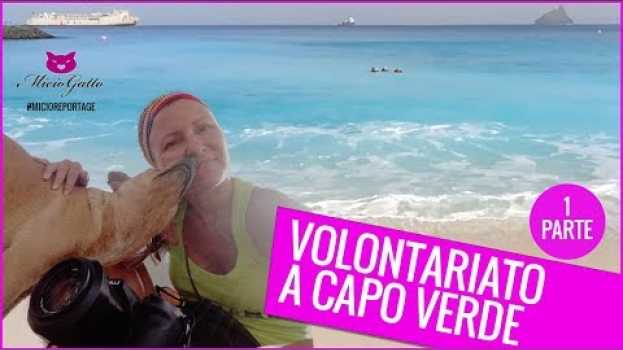 Video Il mio volontariato a Capo Verde: Sao Vicente e cosa fa SiMaBo - 1 parte en français