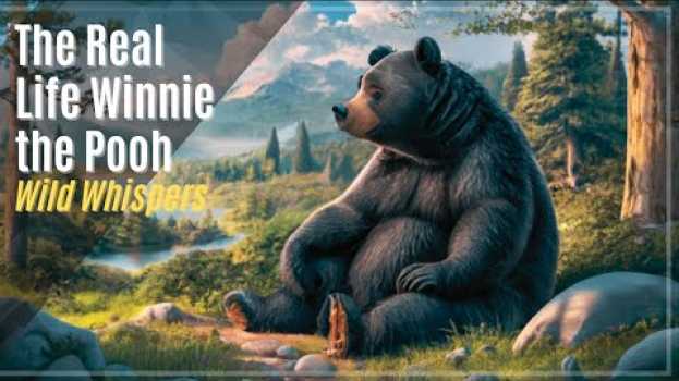 Видео The Heartwarming Story of the Real Winnie the Pooh на русском