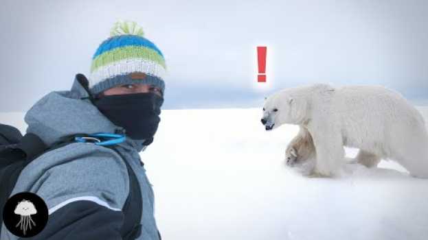 Video Ce qu'il se passe dans l'Arctique va changer vos vies - DBY #58 su italiano