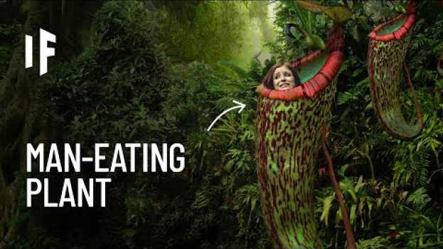 Video What If You Were Trapped in a Meat-Eating Plant? en Español