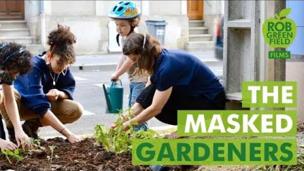 Video Meet the French group guerrilla gardening and planting food in the cities! em Portuguese