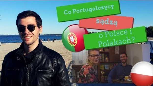 Video Co Portugalczycy sądzą o Polsce i Polakach [What do Portuguese think about Poles and Poland] na Polish