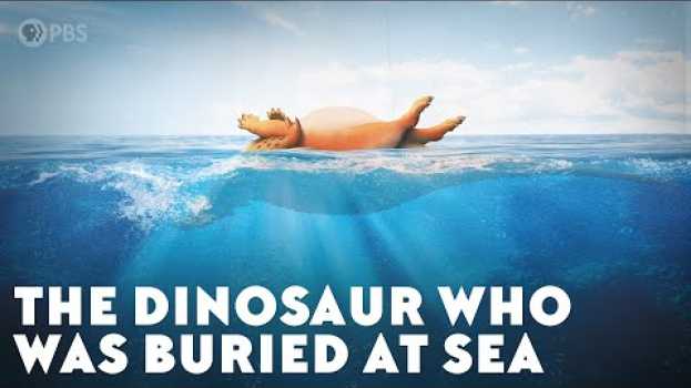Video The Dinosaur Who Was Buried at Sea em Portuguese