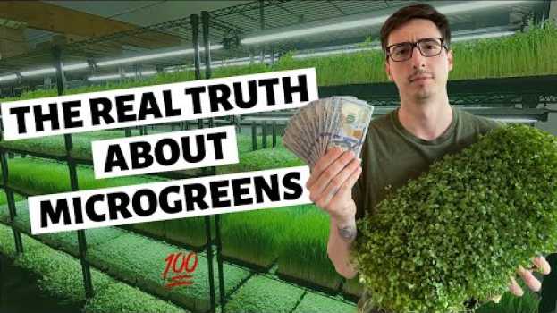 Video The REAL TRUTH About Growing Microgreens For Profit in English