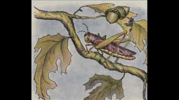Video The Owl and The Grasshopper  -  An Aesop's Fable in Deutsch