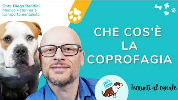 Video La Coprofagia (il cane che mangia le feci) em Portuguese