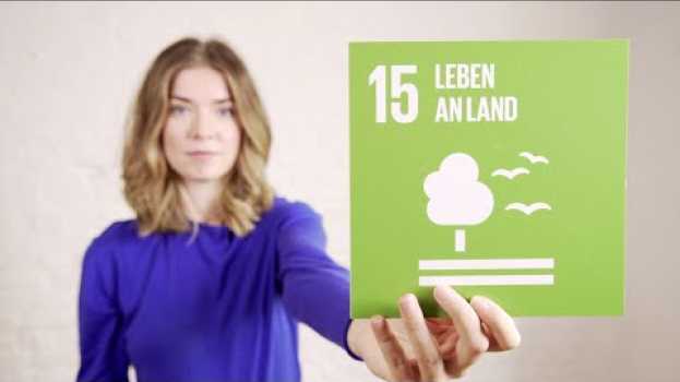 Video Was verbirgt sich hinter "SDG #15 Leben an Land"? em Portuguese