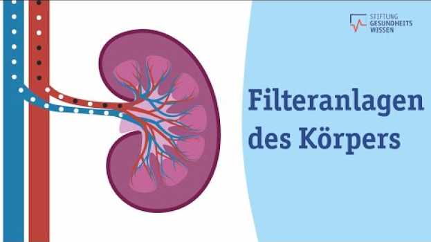 Video Welche Funktionen haben die Nieren? | Wissen ist gesund en français