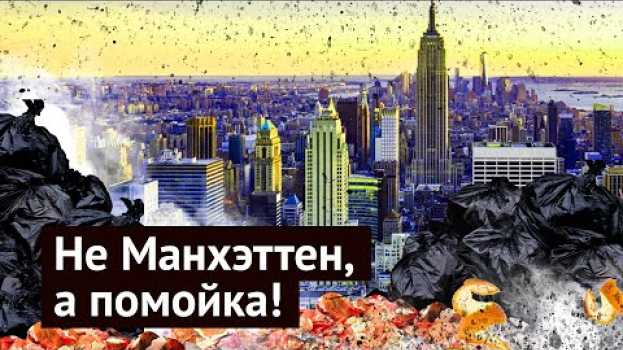 Video Мусор, грязь и бомжи в Нью-Йорке: у нас такого нет! na Polish