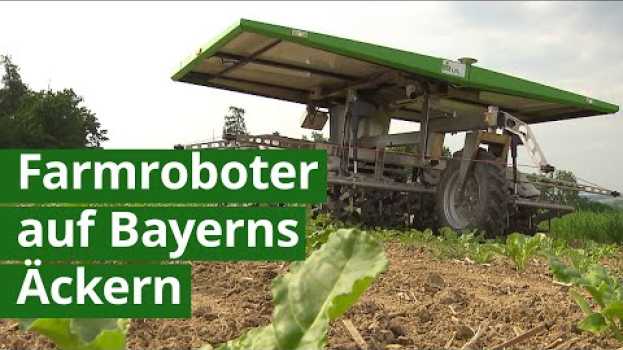 Video Digital Farming in Bayern - können Farmroboter die Landwirte sinnvoll unterstützen?  | Unser Land en Español