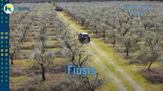 Video Clean energy that grows on trees - sustainable business inspiration su italiano