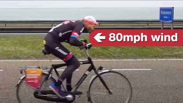Video The Dutch headwind cycling championships are amazing in Deutsch