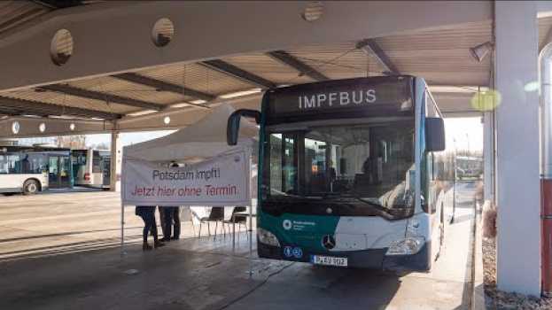 Video Impfbus jetzt auch in Potsdam unterwegs em Portuguese