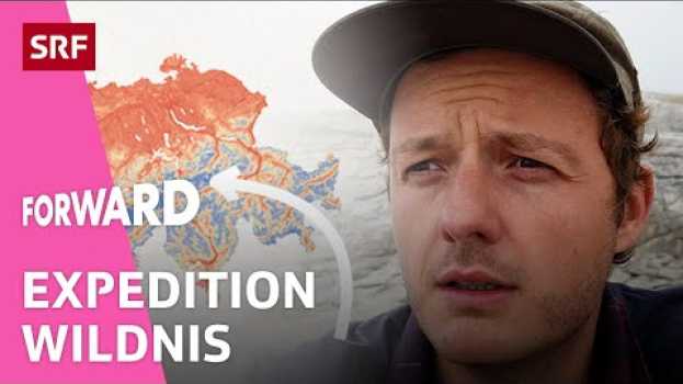 Видео Wo es in der Schweiz noch echte Wildnis gibt | Erklärt | Forward | Impact | SRF на русском