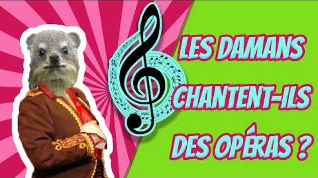 Video Les damans chantent-ils des opéras ? Cuicui Express #2 su italiano