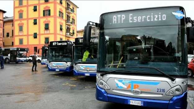Video Il rilancio del Tigullio sale sul bus: ATP Esercizio presenta 6 nuovi mezzi em Portuguese