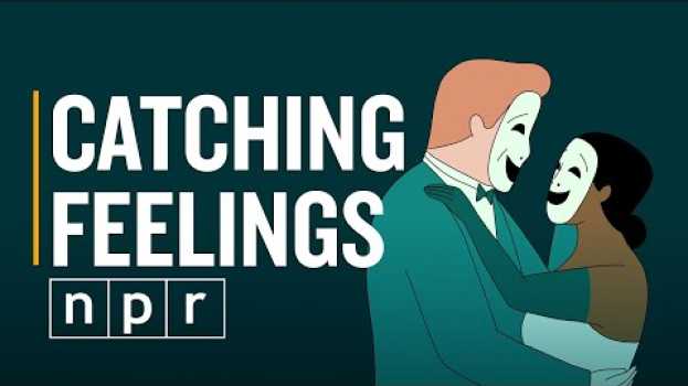 Video When Emotions Are Contagious | Invisibilia | NPR en Español