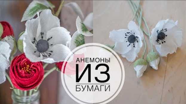 Video Paper anemones or poppies / Анемоны или мак из бумаги /  DIY Tsvoric na Polish