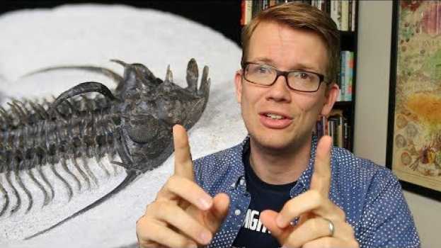 Video Eyes Made of Crystal? - Trilobites are Bizarre in English