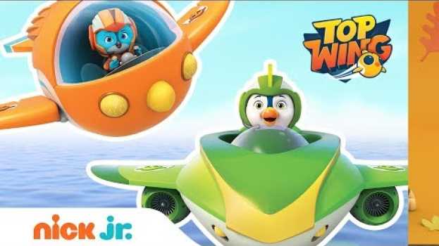 Video Who Will Win the Top Wing Relay Race? Swift, Penny, Brody, & Rod vs. Baddy | Top Wing | Nick Jr. em Portuguese
