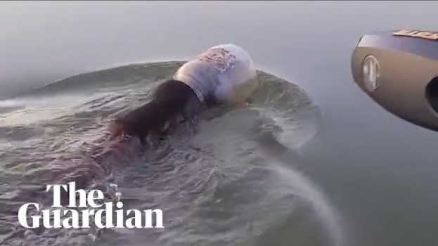 Видео Family rescue bear found swimming with a plastic jar on its head на русском