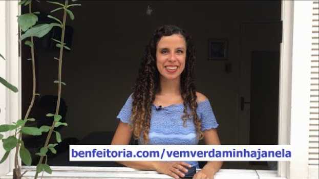 Video Vem ver da minha janela - livro de Sara Bentes en Español