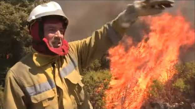 Video Ils allument un deuxième feu pour détourner l'incendie su italiano