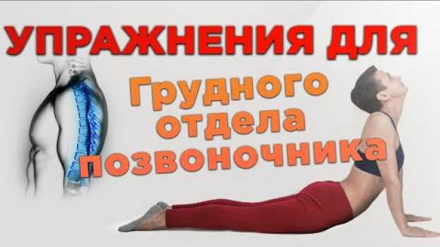 Video 8 эффективных упражнений ЛФК для грудного отдела позвоночника. Лечебная физкультура дома en Español