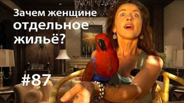 Видео Зачем женщине отдельное жильё? // Всё как у зверей #87 на русском