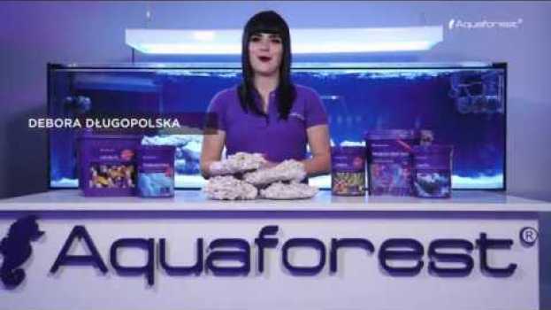 Video How to set up a marine aquarium with Aquaforest - EPISODE #3 em Portuguese