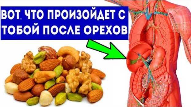 Video Вот что случится, если орехи кушать каждый день (10 причин кушать орехи) na Polish