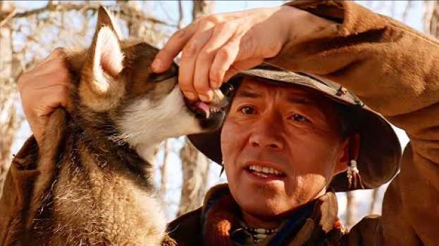 Video White Fang, a semi-wild dog, is about the bonds and emotions between humans and animals. in Deutsch