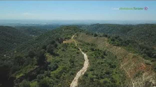 Video Valle del Guadiato. Vía Emérita, patrimonio histórico. Córdoba na Polish