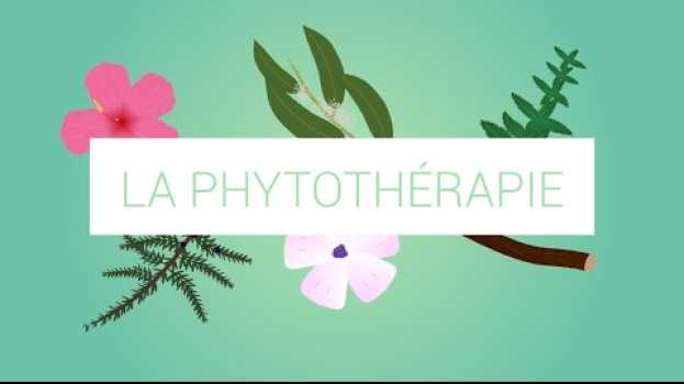 Video Qu'est-ce que la phytothérapie ? em Portuguese