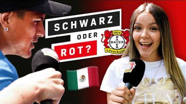 Video Piero Hincapie & Marifer von Cracks in "Schwarz oder Rot?!" ⚫️🔴 | "Mexiko oder Ecuador?" 🤔 na Polish