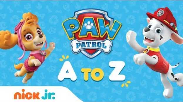 Video PAW Patrol from A to Z 📚Learn to Read the Alphabet w/ the Pups | PAW Patrol | Nick Jr. su italiano