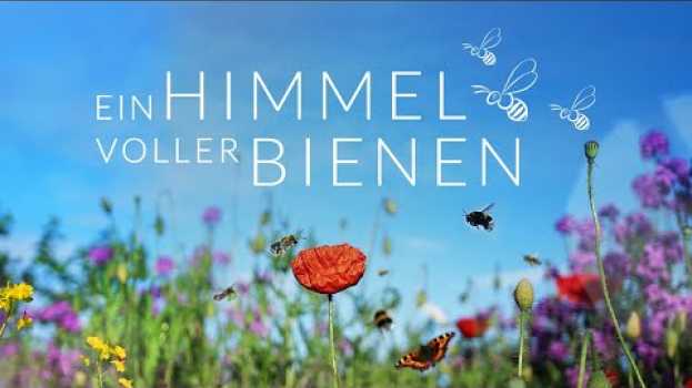 Video Trailer EIN HIMMEL VOLLER BIENEN (Dokumentarfilm) em Portuguese