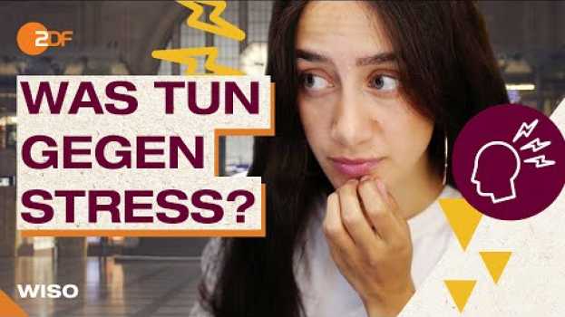 Video Krank durch Stress: Was tun, wenn alles zu viel wird? in English