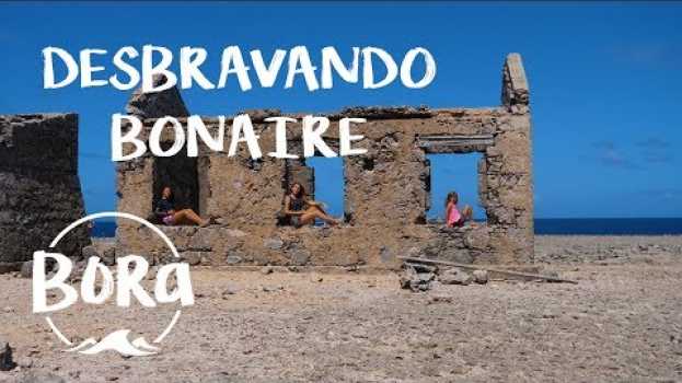 Video BORA #80 -  TOUR PELA ILHA! Tudo que tem em Bonaire (English/Spanish CC) su italiano