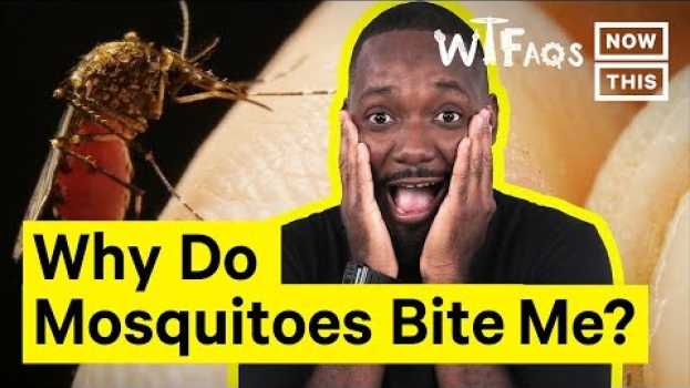 Video Why Mosquitoes Bite Some People More Than Others en français