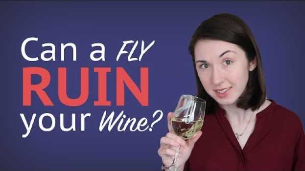 Video There's a Fly in my Wine! in Deutsch