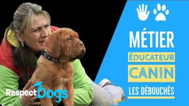 Video QUELS DEBOUCHES POUR LE METIER D'EDUCATEUR CANIN en français