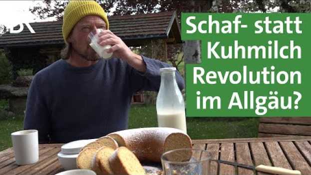 Video Innovative Landwirtschaft im Allgäu - Milch und preisgekrönter Käse vom Schaf | Unser Land | BR su italiano