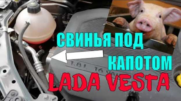 Видео Свинья под капотом Лада Веста скрип подушки на русском