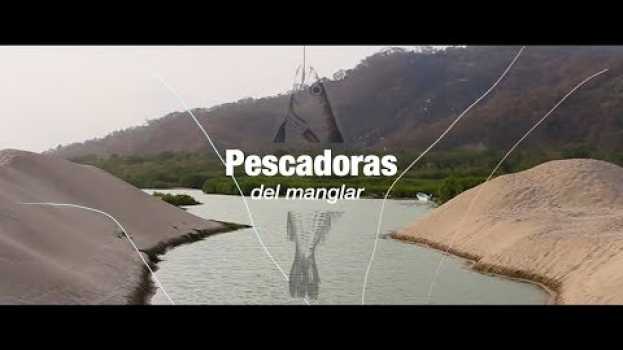 Video Pescadoras del manglar: ya no hay nada por pescar in English