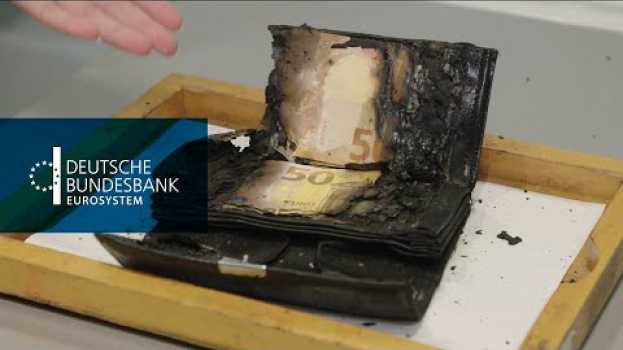 Video Bundesbank rettet verbrannte Scheine em Portuguese