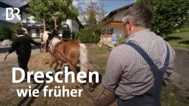 Video Landwirtschaft wie um 1900: Mit Ross und Pferdegöpel | Zwischen Spessart und Karwendel | BR en français